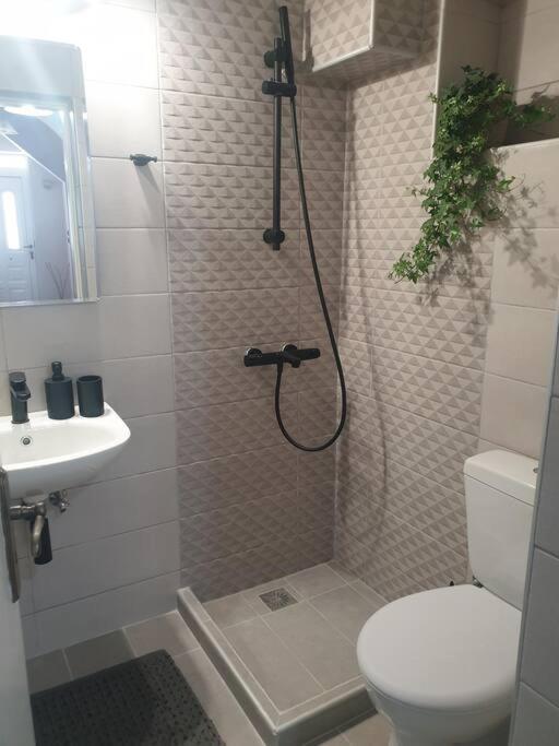 Family & Friends Maisonette In The Center Of Apartment Lixouri