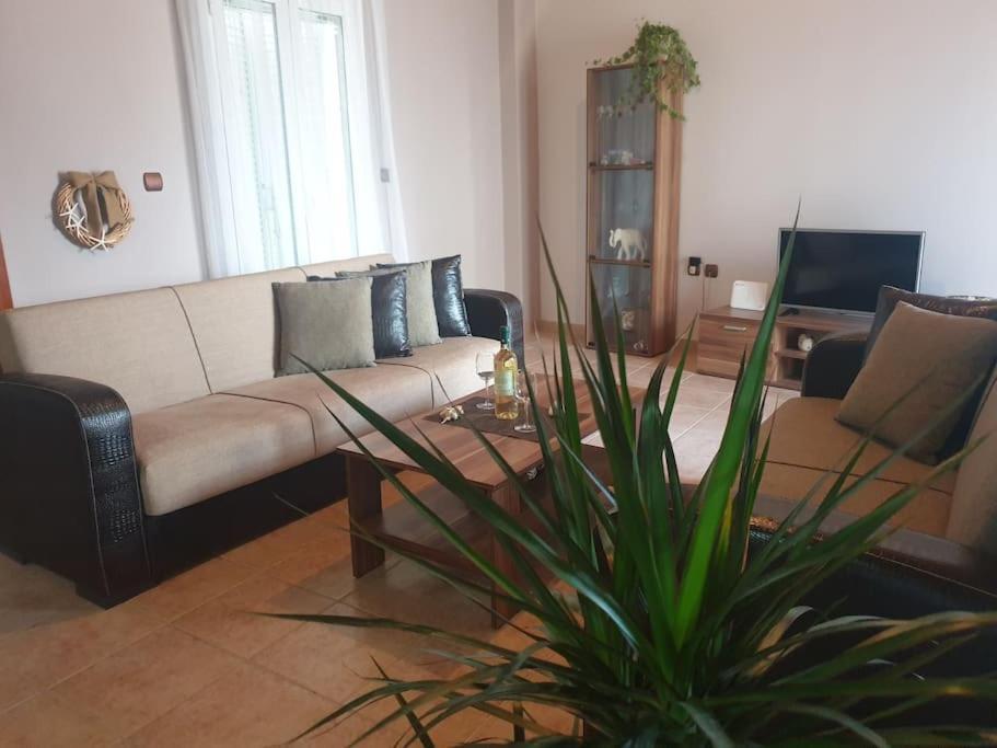 Apartment Family & Friends Maisonette In The Center Of Lixouri